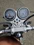 Triumph Braun - thumbnail 7