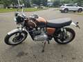 Triumph Braun - thumbnail 5