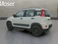 Fiat Panda 0.9 TwinAir 4x4 85 CV Blanco - thumbnail 6