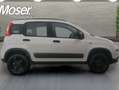 Fiat Panda 0.9 TwinAir 4x4 85 CV Blanc - thumbnail 2