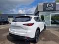 Mazda CX-5 ADVANTAGE 2.0L e-SKYACTIV G 165ps FWD Weiß - thumbnail 6