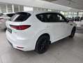 Mazda CX-60 Homura 3.3L e-SKYACTIV-D 254PS AWD *Convenience & Weiß - thumbnail 4