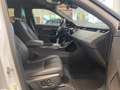 Land Rover Range Rover Evoque P250 R-Dynamic SE 20' ACC WKP Blanc - thumbnail 13