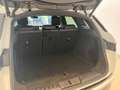 Land Rover Range Rover Evoque P250 R-Dynamic SE 20' ACC WKP Blanc - thumbnail 16