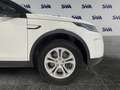 Land Rover Discovery Sport S - IVA ESPOSTA Wit - thumbnail 10