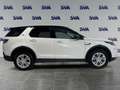 Land Rover Discovery Sport S - IVA ESPOSTA Wit - thumbnail 7