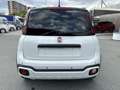 Fiat Panda 1.0 FireFly S&S Hybrid Pandina Bianco - thumbnail 6