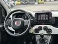 Fiat Panda 1.0 FireFly S&S Hybrid Pandina Bianco - thumbnail 14