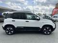 Fiat Panda 1.0 FireFly S&S Hybrid Pandina Bianco - thumbnail 8