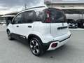 Fiat Panda 1.0 FireFly S&S Hybrid Pandina Bianco - thumbnail 5