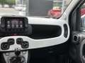 Fiat Panda 1.0 FireFly S&S Hybrid Pandina Bianco - thumbnail 13