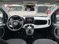 Fiat Panda 1.0 FireFly S&S Hybrid Pandina Bianco - thumbnail 12
