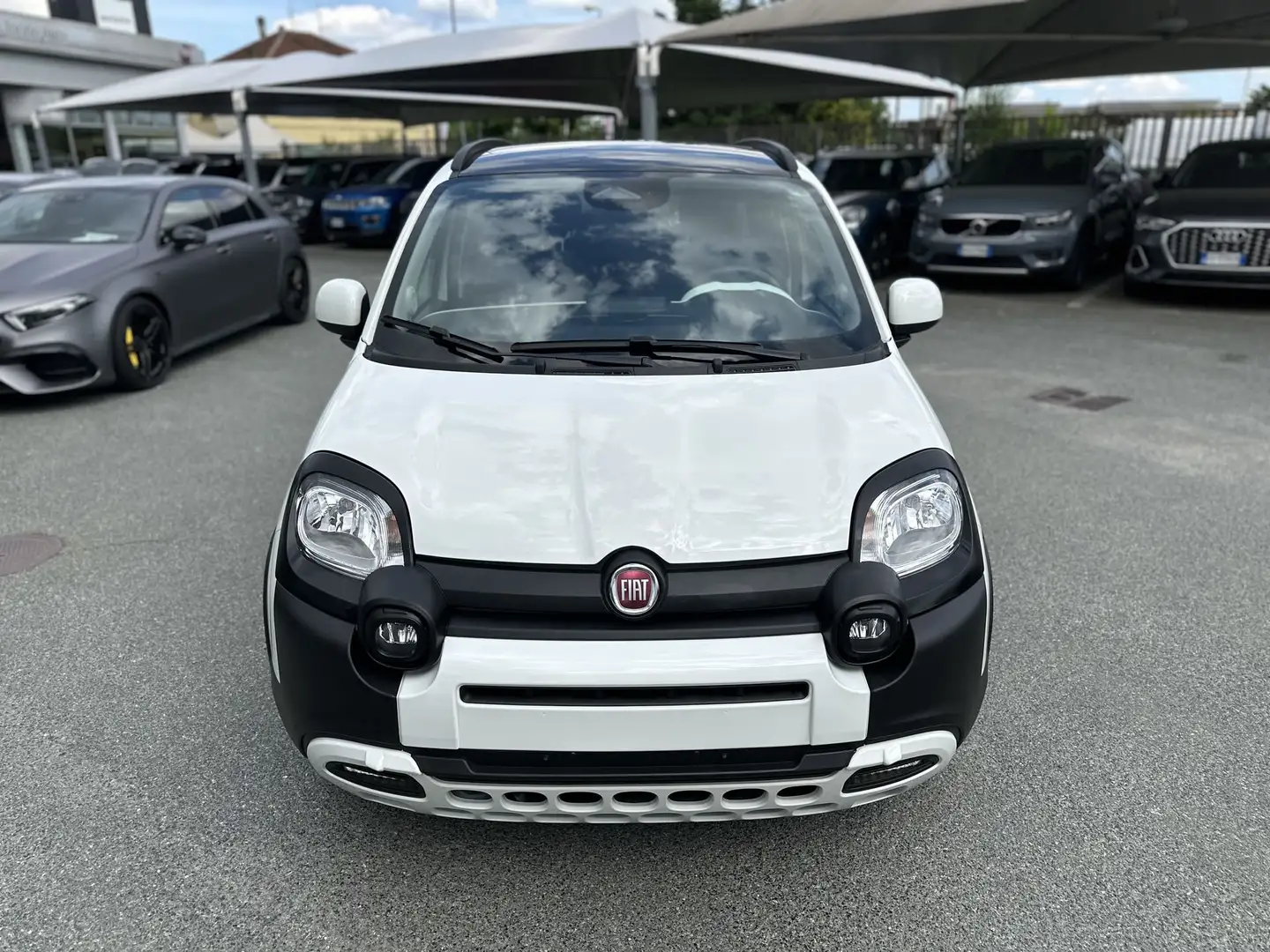 Fiat Panda 1.0 FireFly S&S Hybrid Pandina Bianco - 2