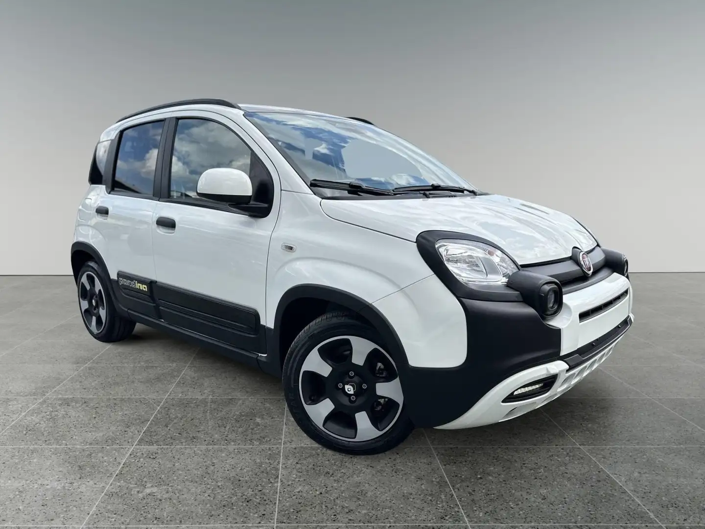 Fiat Panda 1.0 FireFly S&S Hybrid Pandina Bianco - 1