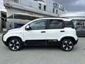Fiat Panda 1.0 FireFly S&S Hybrid Pandina Bianco - thumbnail 4