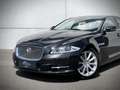 Jaguar XJ 3.0 V6D Premium Luxury / ORG. NL. / MASSAGE / KOEL Gris - thumbnail 33