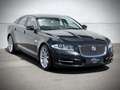 Jaguar XJ 3.0 V6D Premium Luxury / ORG. NL. / MASSAGE / KOEL Gris - thumbnail 36
