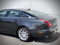 Jaguar XJ 3.0 V6D Premium Luxury / ORG. NL. / MASSAGE / KOEL Gris - thumbnail 16