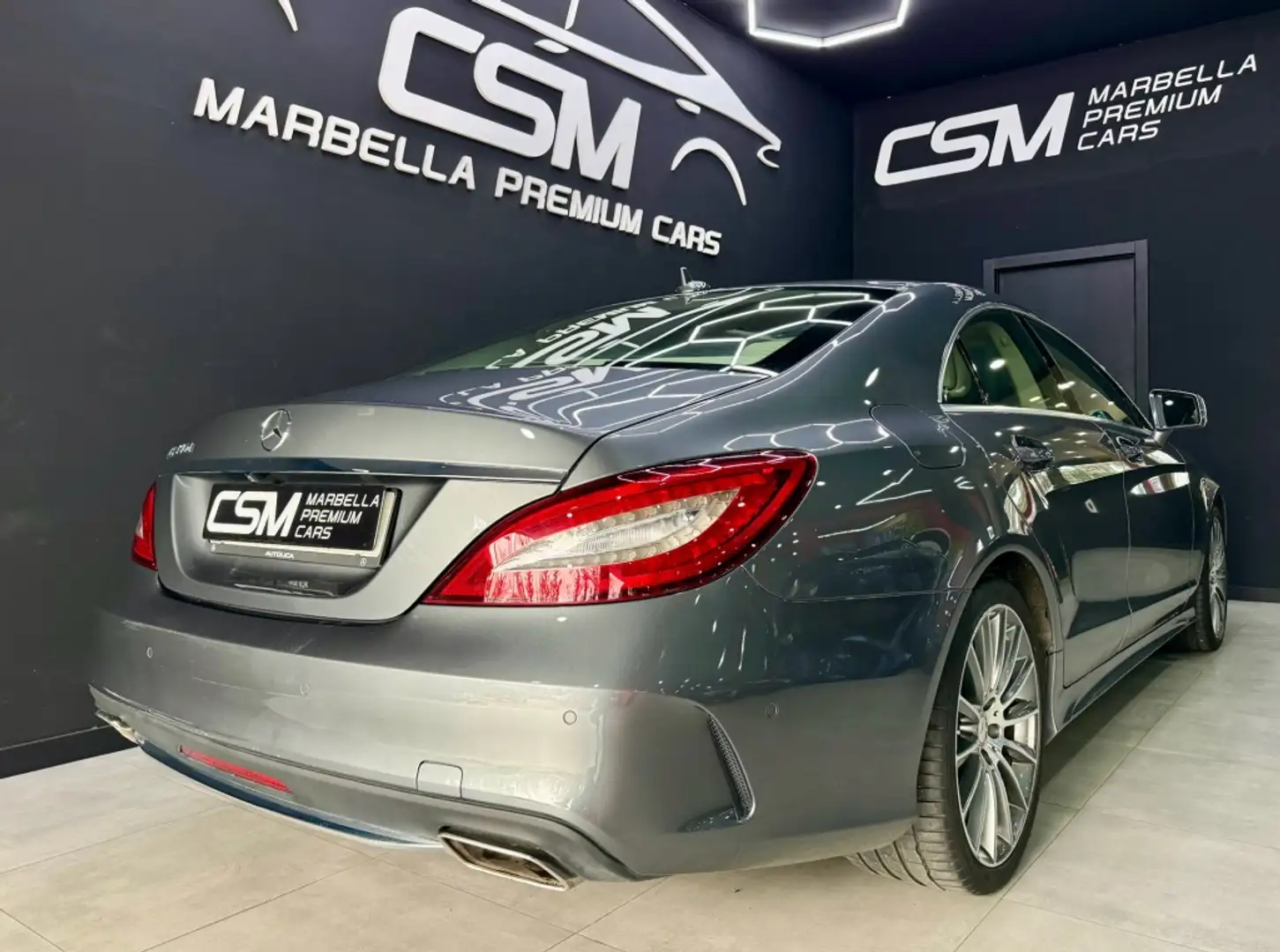 Mercedes-Benz CLS 350 350d Aut. Gris - 2