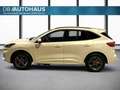 Ford Kuga ST-Line 2.5 DuraTec PHEV Autom Weiß - thumbnail 7
