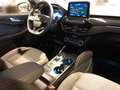 Ford Kuga ST-Line 2.5 DuraTec PHEV Autom Weiß - thumbnail 18