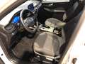 Ford Kuga ST-Line 2.5 DuraTec PHEV Autom Weiß - thumbnail 8