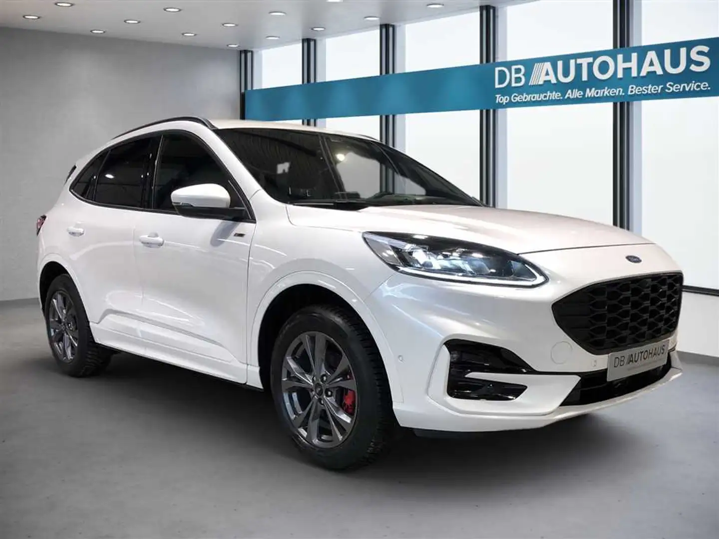 Ford Kuga ST-Line 2.5 DuraTec PHEV Autom Weiß - 2