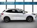 Ford Kuga ST-Line 2.5 DuraTec PHEV Autom Weiß - thumbnail 3