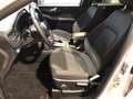 Ford Kuga ST-Line 2.5 DuraTec PHEV Autom Weiß - thumbnail 16