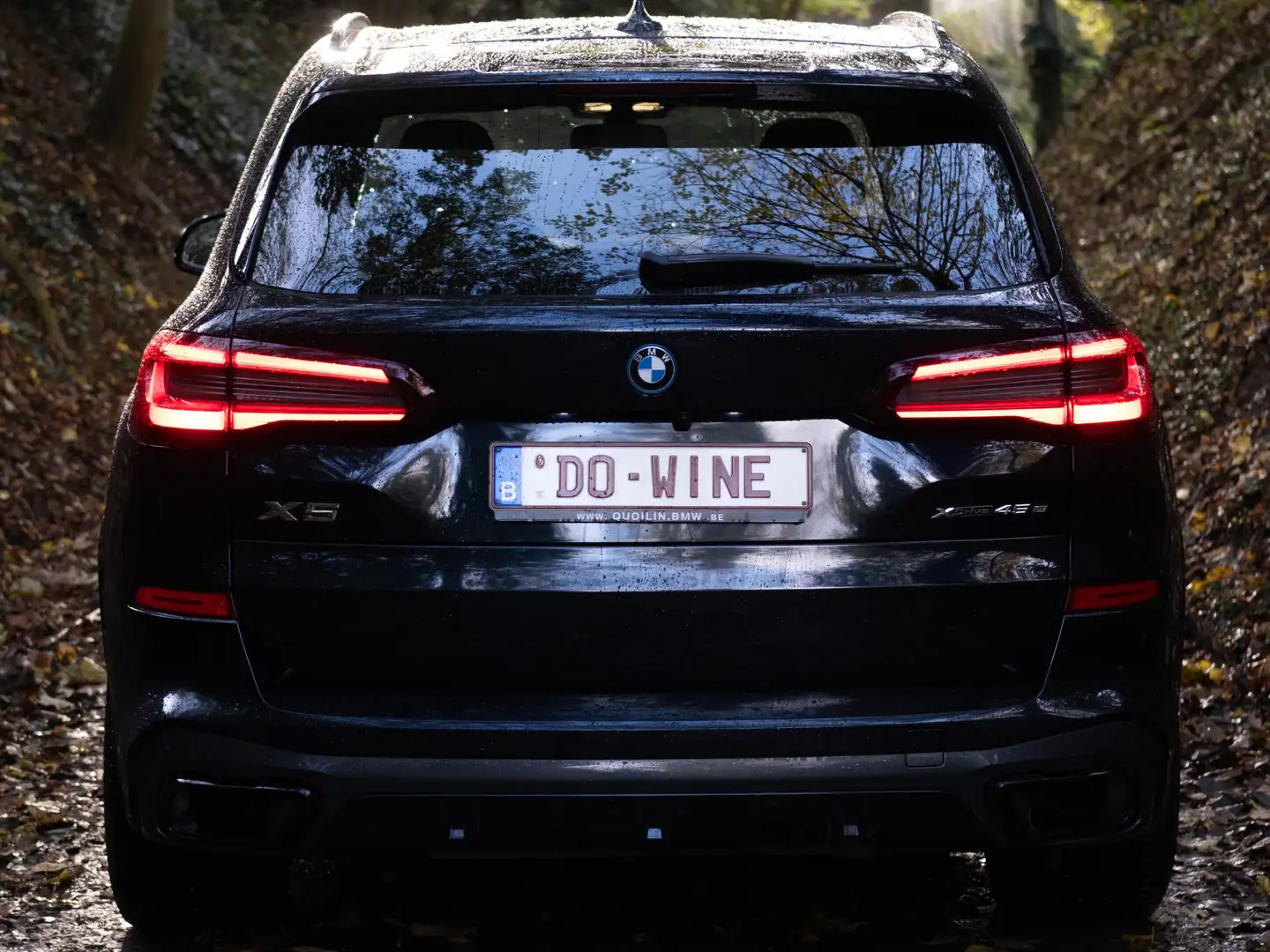 BMW X5 X5 PHEV 3.0A xDrive45e (EU6AP) Bleu - 2