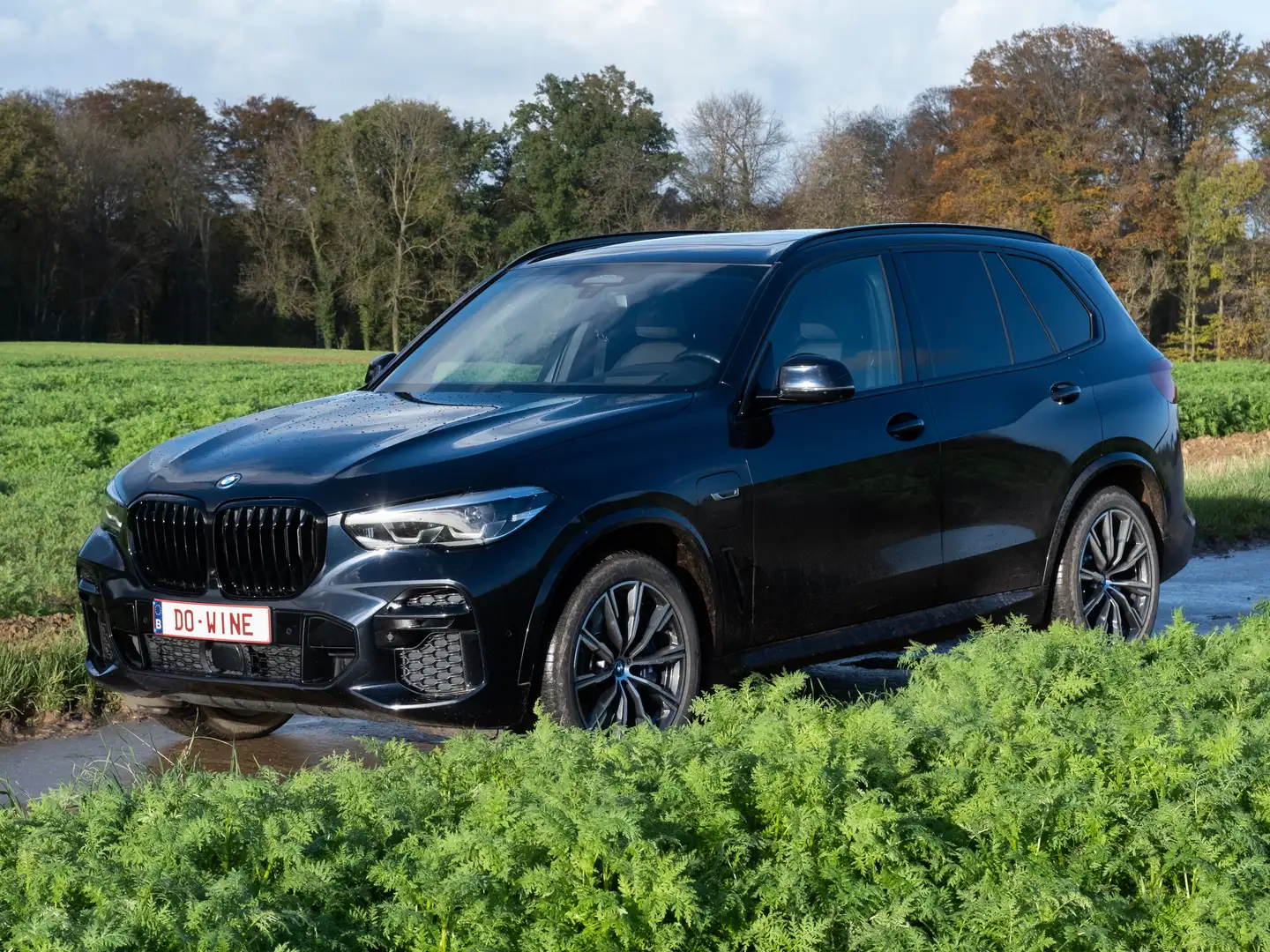 BMW X5 X5 PHEV 3.0A xDrive45e (EU6AP) Bleu - 1