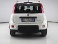 Fiat New Panda 1.0 FireFly Hybrid City Life Bianco - thumbnail 4