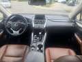 Lexus NX 300h 300 h-Toyota Relax Garantie-TÜV neu-Panorama Negru - thumbnail 10