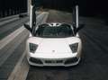 Lamborghini Murciélago LP640 Roadster *Carbon*Vollleder*Lift Білий - thumbnail 12