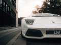Lamborghini Murciélago LP640 Roadster *Carbon*Vollleder*Lift Білий - thumbnail 11