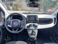Fiat New Panda Panda 1.0 FireFly S&S Hybrid Pandina Blu/Azzurro - thumbnail 9