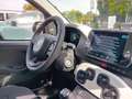 Fiat New Panda Panda 1.0 FireFly S&S Hybrid Pandina Blu/Azzurro - thumbnail 12