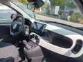 Fiat New Panda Panda 1.0 FireFly S&S Hybrid Pandina Blu/Azzurro - thumbnail 11