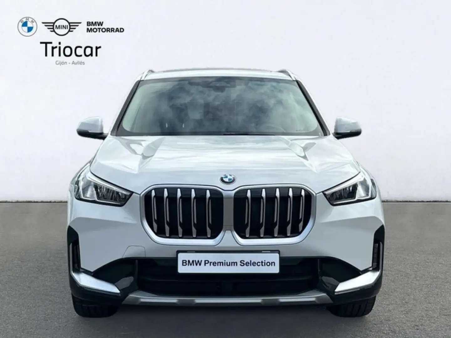 BMW X1 sDrive 18dA Blanco - 2