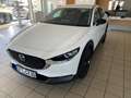 Mazda CX-30 e-SKYACTIVE G 140 HOMURA Weiß - thumbnail 1