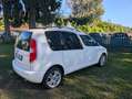 Skoda Roomster 1.2 12V 70CV Ambition UNICO PROPRIETARIO Bianco - thumbnail 7