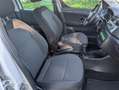 Skoda Roomster 1.2 12V 70CV Ambition UNICO PROPRIETARIO Bianco - thumbnail 11