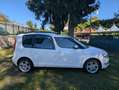 Skoda Roomster 1.2 12V 70CV Ambition UNICO PROPRIETARIO Bianco - thumbnail 8