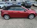 Volkswagen Golf Cabriolet Basis BMT Rot - thumbnail 2