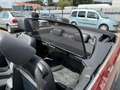 Volkswagen Golf Cabriolet Basis BMT Rot - thumbnail 17