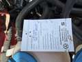 Volkswagen Golf Cabriolet Basis BMT Rot - thumbnail 19