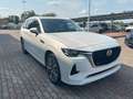 Mazda CX-80 CX-80 3.3 m-hybrid boost Takumi Plus auto Wit - thumbnail 5