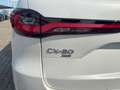 Mazda CX-80 CX-80 3.3 m-hybrid boost Takumi Plus auto Wit - thumbnail 12