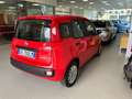 Fiat Panda Panda 1.0 firefly hybrid s Rouge - thumbnail 4