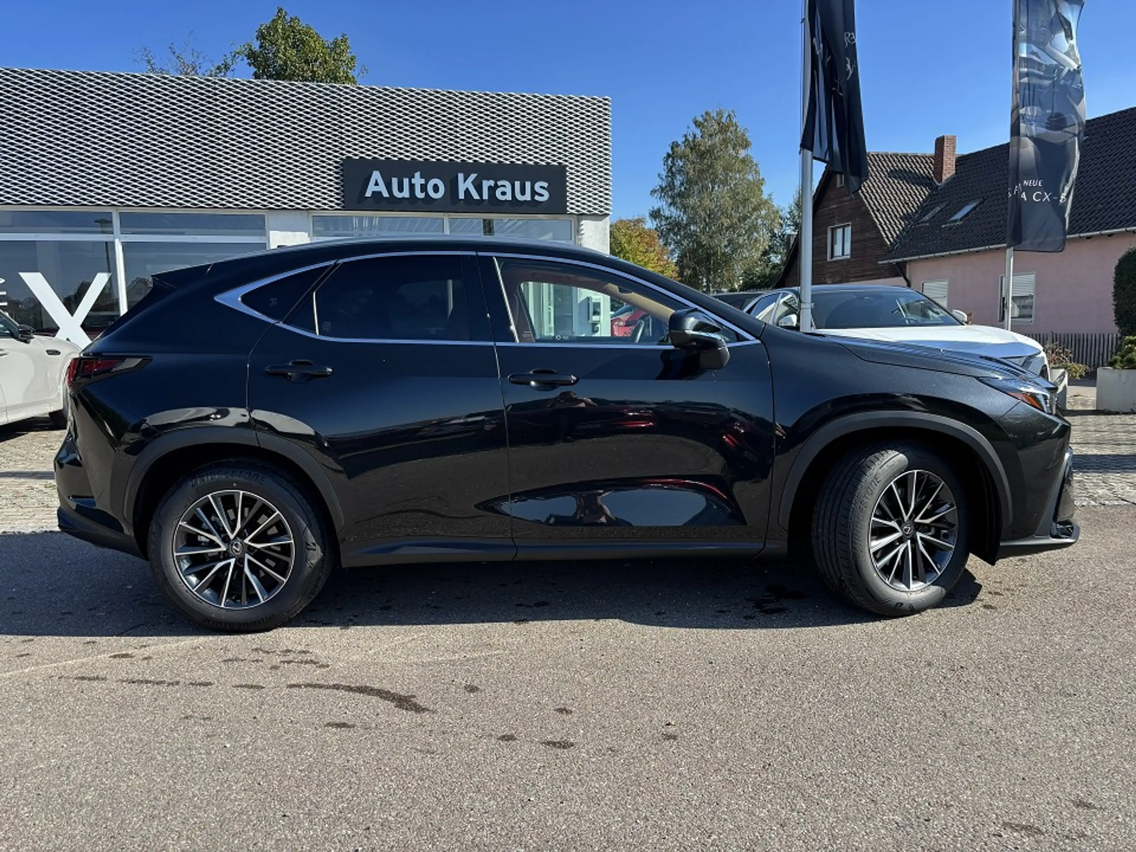 Lexus NX 350h Executive Line E-Four Head-up 360°-Kamera — photo 3